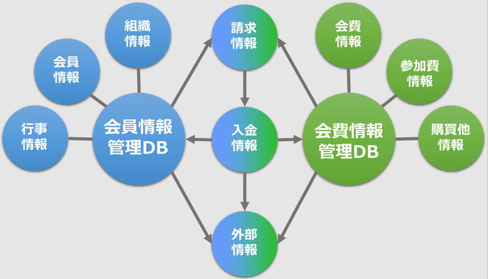 D-Management