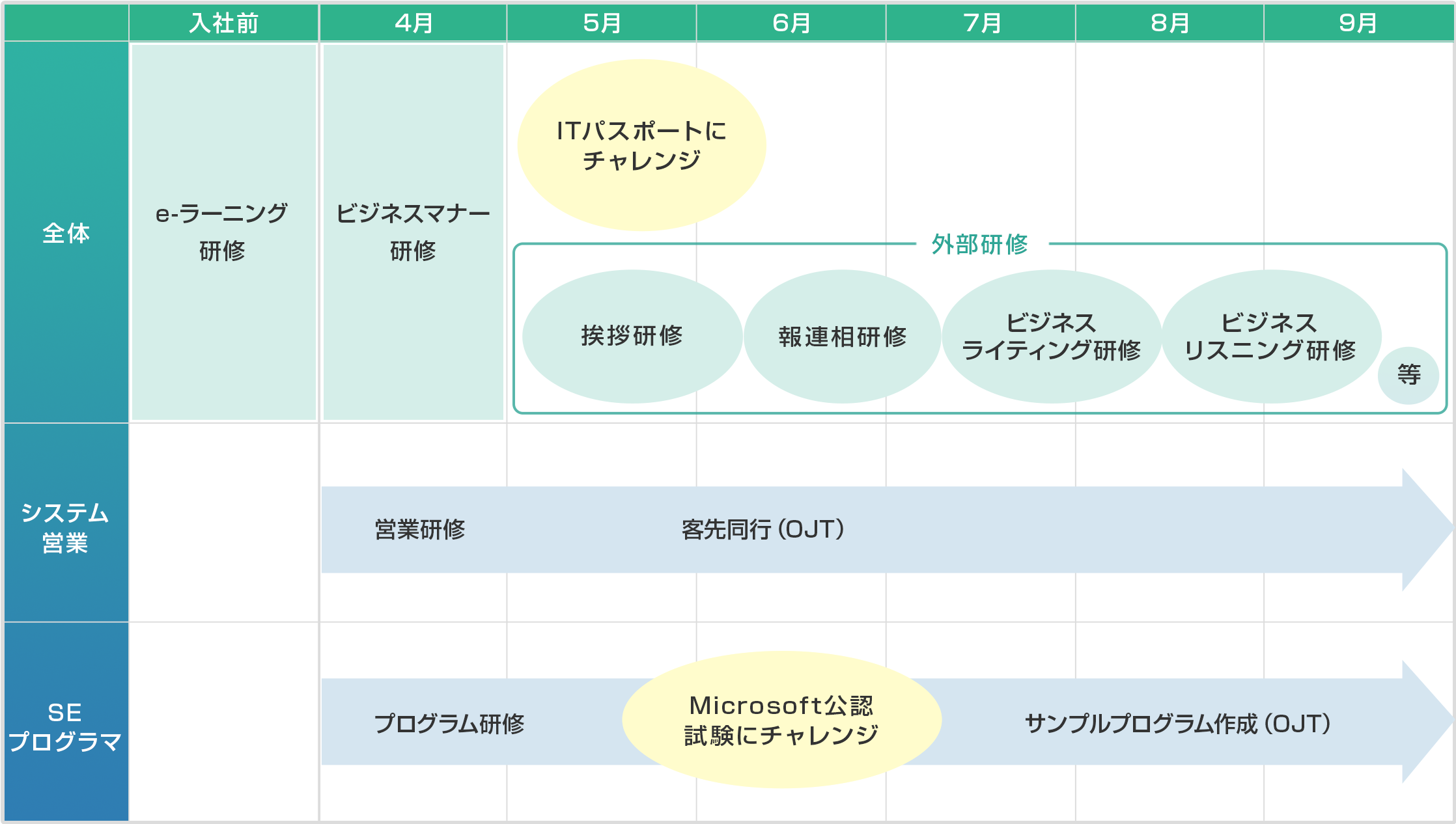 教育スケジュール